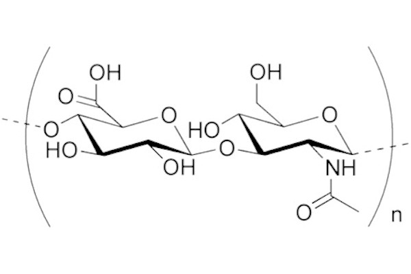 AcidoIaluronico struttura